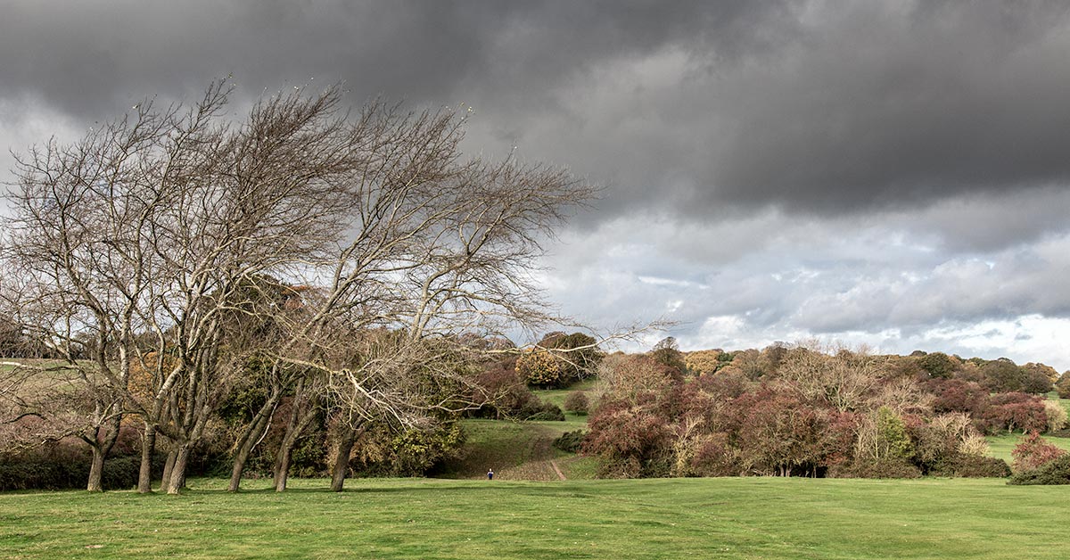 Beverley Westwood